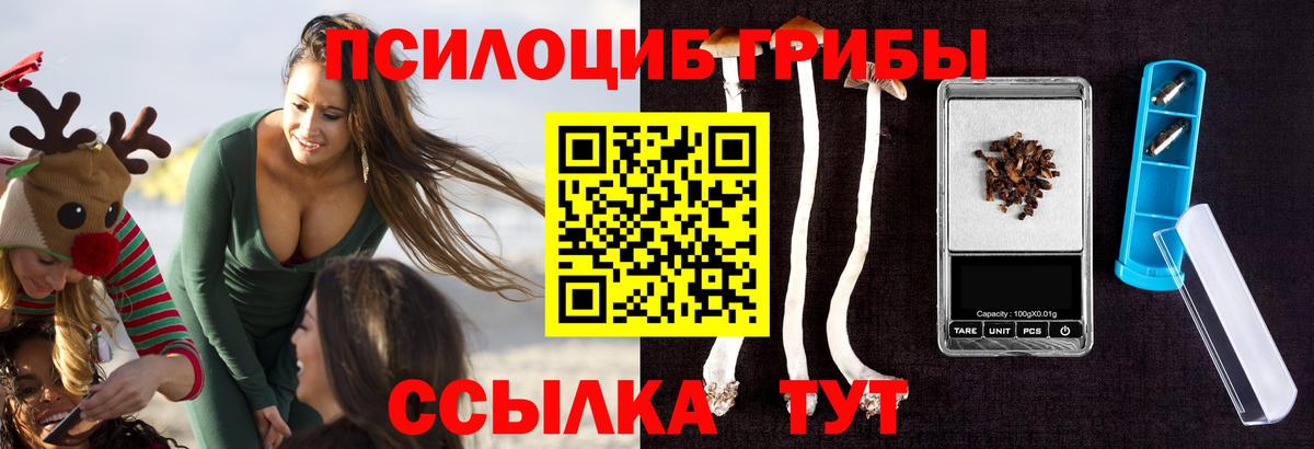 Псилоцибиновые грибы Cubensis Трёхгорный